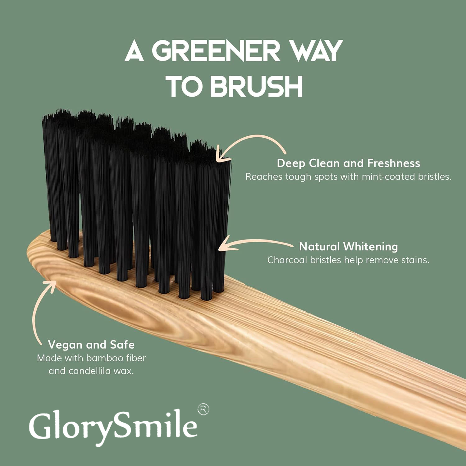 1/4本入り竹製歯ブラシ - BPAフリーの柔らかい毛の歯ブ - Bamboo Toothbrush のレビューと価格