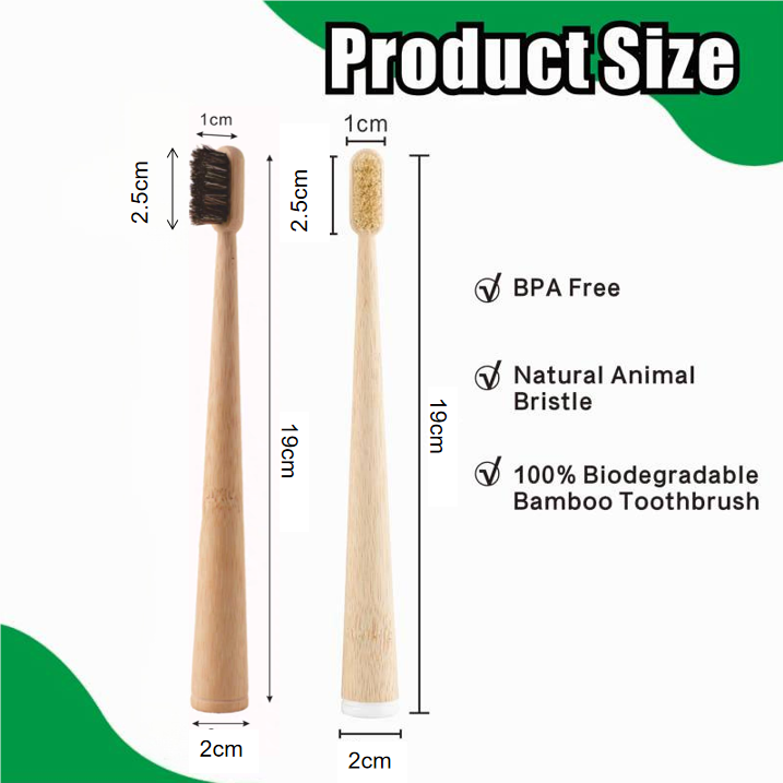 4本セットの猪毛/馬毛＆竹製歯ブラシ、100%生分解性天然歯 - Bamboo Toothbrush のレビューと価格